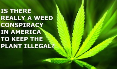 CANNABIS CONSPIRACY IN AMERICA